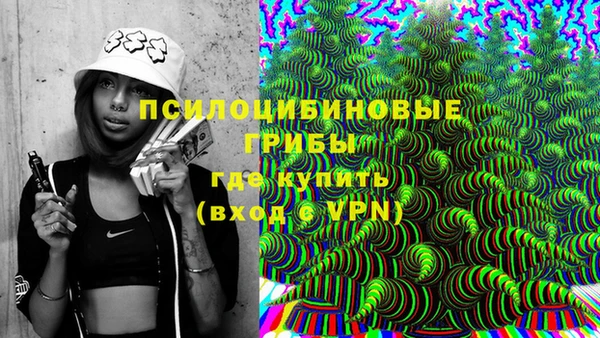 ГАЛЛЮЦИНОГЕННЫЕ ГРИБЫ Володарск