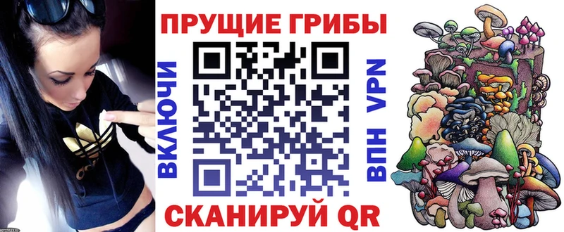 маркетплейс Telegram  Очёр  Псилоцибиновые грибы Cubensis 
